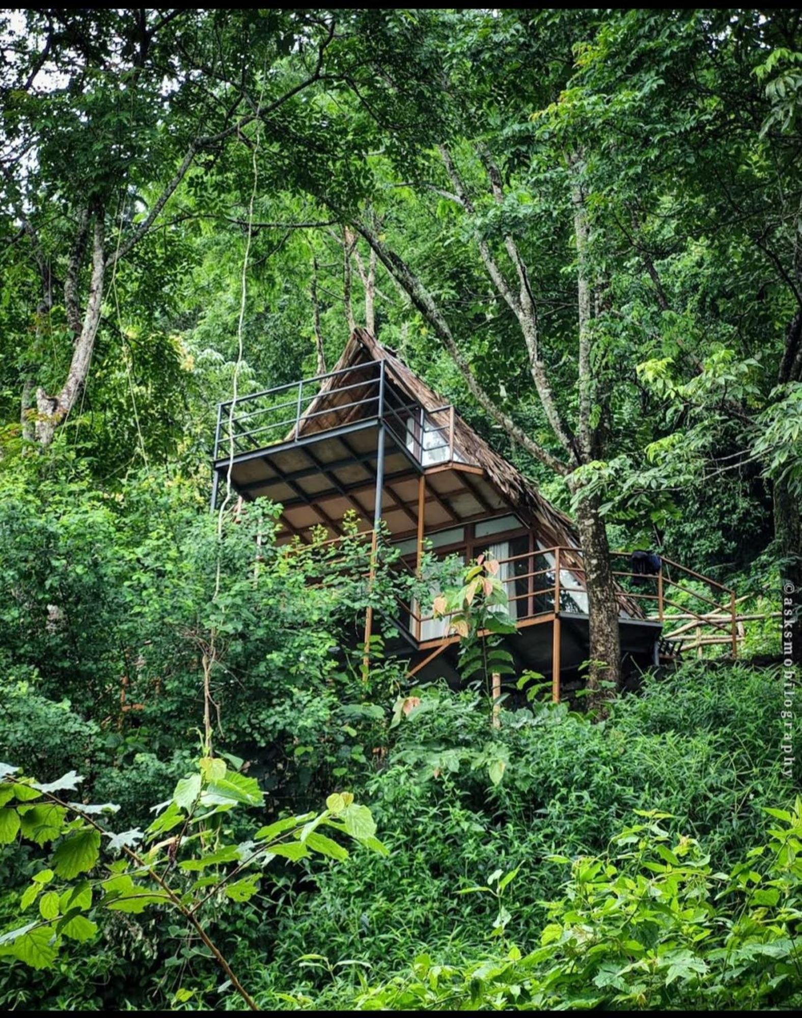 Sunset Valley Kerala Pool Resort - Serene Natural Forest Cottage Stay In Idukki With Sunrise & Sunset Panoramas, Natural Streams & Tranquil Summer Evenings Pīrmed Buitenkant foto